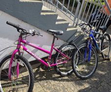 2 bikes for free