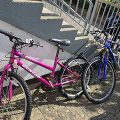 2 bikes for free