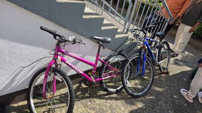 2 bikes for free