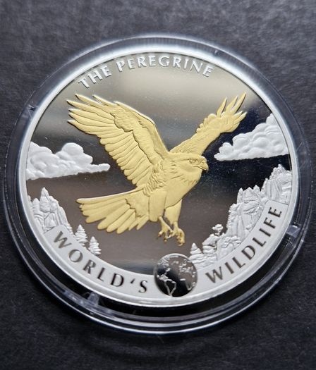Wildlife 1 oz silver The PEREGRINE FALCON 2024 Congo 20 Fr Gold Gilded coin