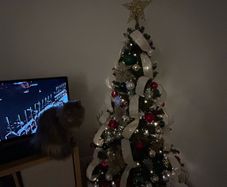 6ft christmas tree