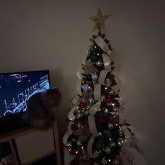 6ft christmas tree