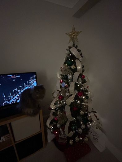 6ft christmas tree