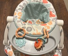 Fisher-Price sit-me-up seat