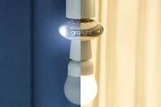Gro Company Gro Grolight