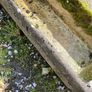 Large Trough Image 5