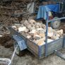 Top Class loads of seasoned hardwood firewood Image 3