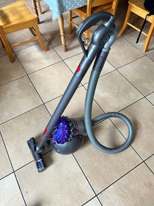 Dyson Big ball Animal