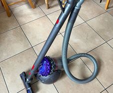 Dyson Big ball Animal