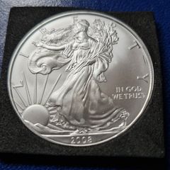 American Silver Eagle 2008 1 oz .999 Coin in capsule