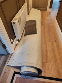 carpet and underlay