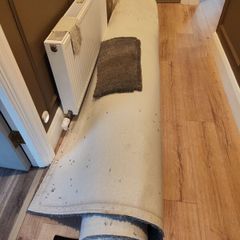 carpet and underlay