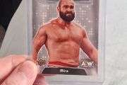 AEW Miro Upper Deck Card