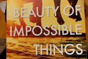 The Beauty of Impossible Things.  Rachel Donoghue. Most books 4 for 10 euro