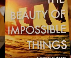 The Beauty of Impossible Things.  Rachel Donoghue. Most books 4 for 10 euro