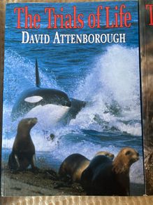 The Life Trilogy  / David Attenborough