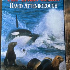 The Life Trilogy  / David Attenborough