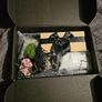 Zen Garden Image 2
