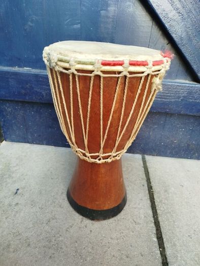Bongo Drum