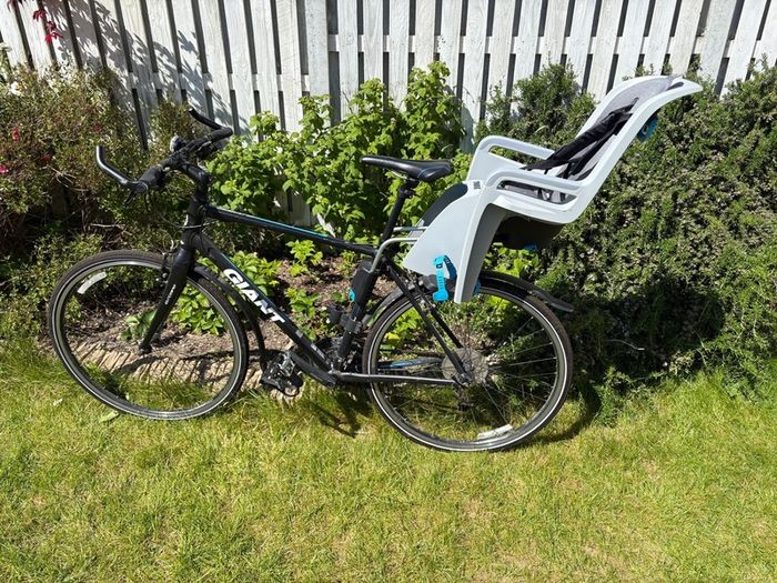 Thule RideAlong Lite Rear Child Bike Seat Excellent Condition