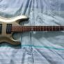 ESP Ltd + TronicalTune Tuner Image 2