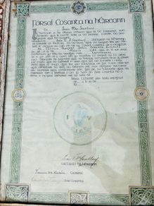 Irish defence forces document