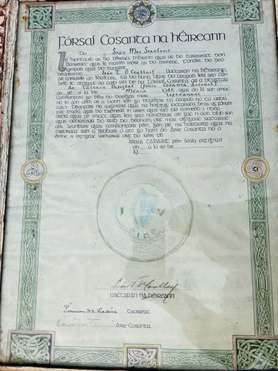 Irish defence forces document