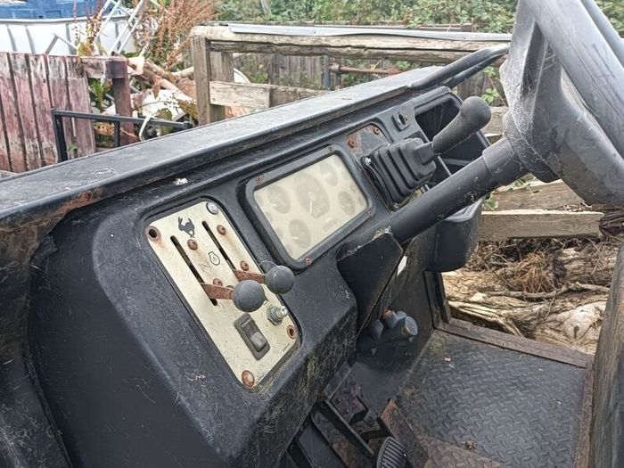 Utility Buggy