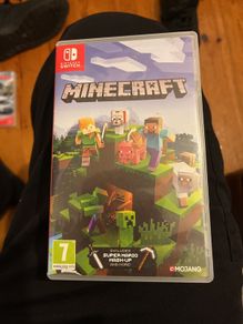 Minecraft Nintendo switch