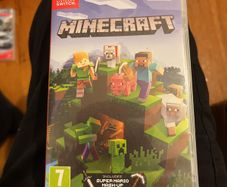 Minecraft Nintendo switch