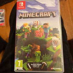 Minecraft Nintendo switch