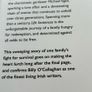 Life Sentences by Billy O'Callaghan Image 4