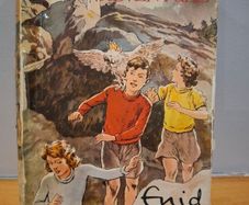 Enid Blyton Adventure Series