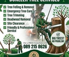 Tree removal