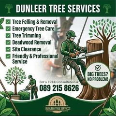 Tree removal