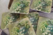 Cork set of 6 boxed Square Coasters