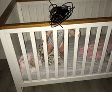 Cot Bed