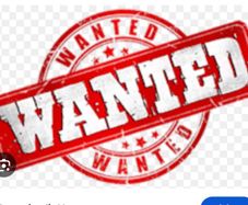 Agency wanted