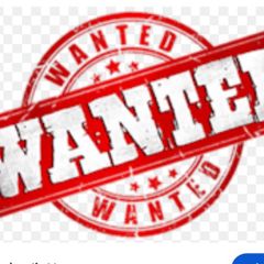 Agency wanted