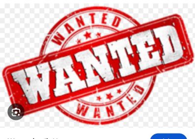 Agency wanted