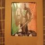 Irish Warrior Image 2