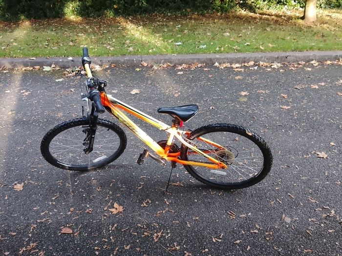 Team Kids Bicycle