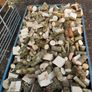hardwood firewood Image 2