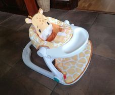 Fisher-Price Baby Chair