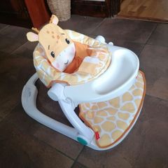 Fisher-Price Baby Chair