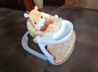 Fisher-Price Baby Chair