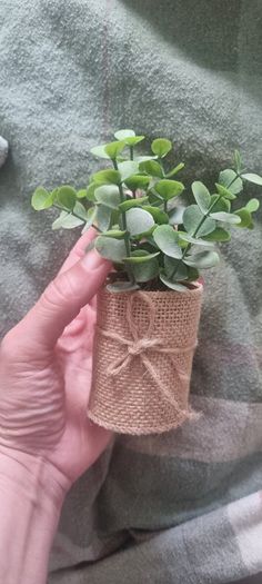 Tier metal plant holder