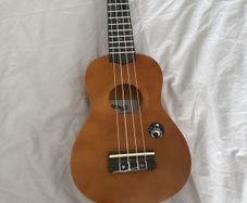 musical instrument