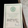 celtic signed football Image 6