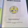 Official Guide to County Kildare Ireland Irish Old guide Image 2